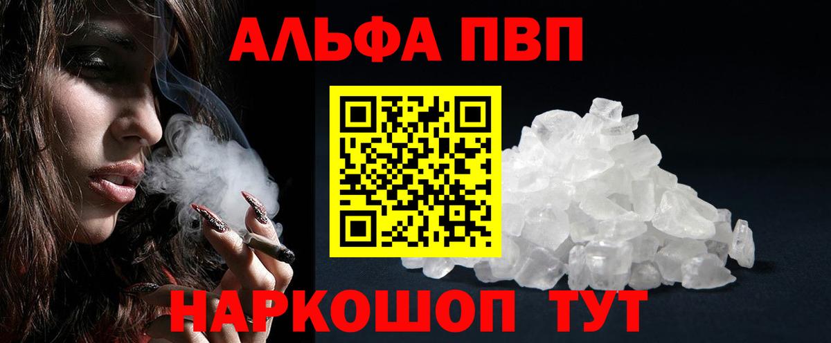 Альфа ПВП СК Гудермес