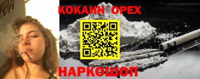 гашик Гай