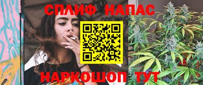 гашик Гай