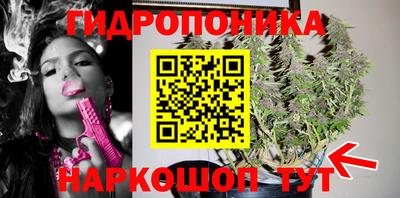 гашик Гай