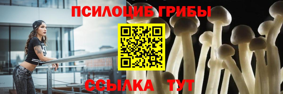 Псилоцибиновые грибы GOLDEN TEACHER  закладка  Гудермес  Галлюциногенные грибы ЛСД  Вход с VPN 